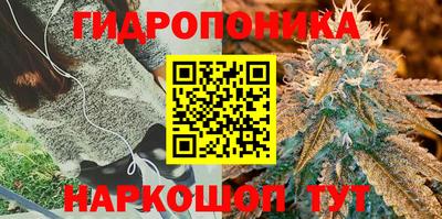 кристаллы Кимры