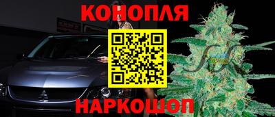 стаф Кинель