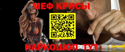 стаф Кинель